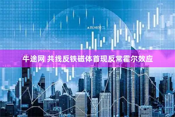 牛途网 共线反铁磁体首现反常霍尔效应