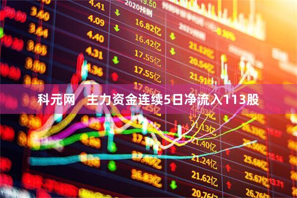 科元网   主力资金连续5日净流入113股