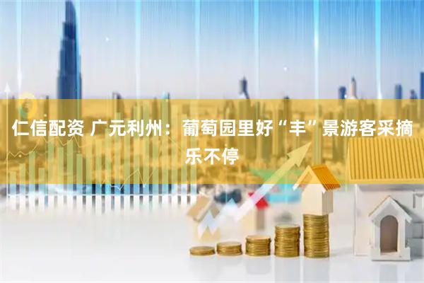 仁信配资 广元利州:葡萄园里好“丰”景游客采摘乐不停